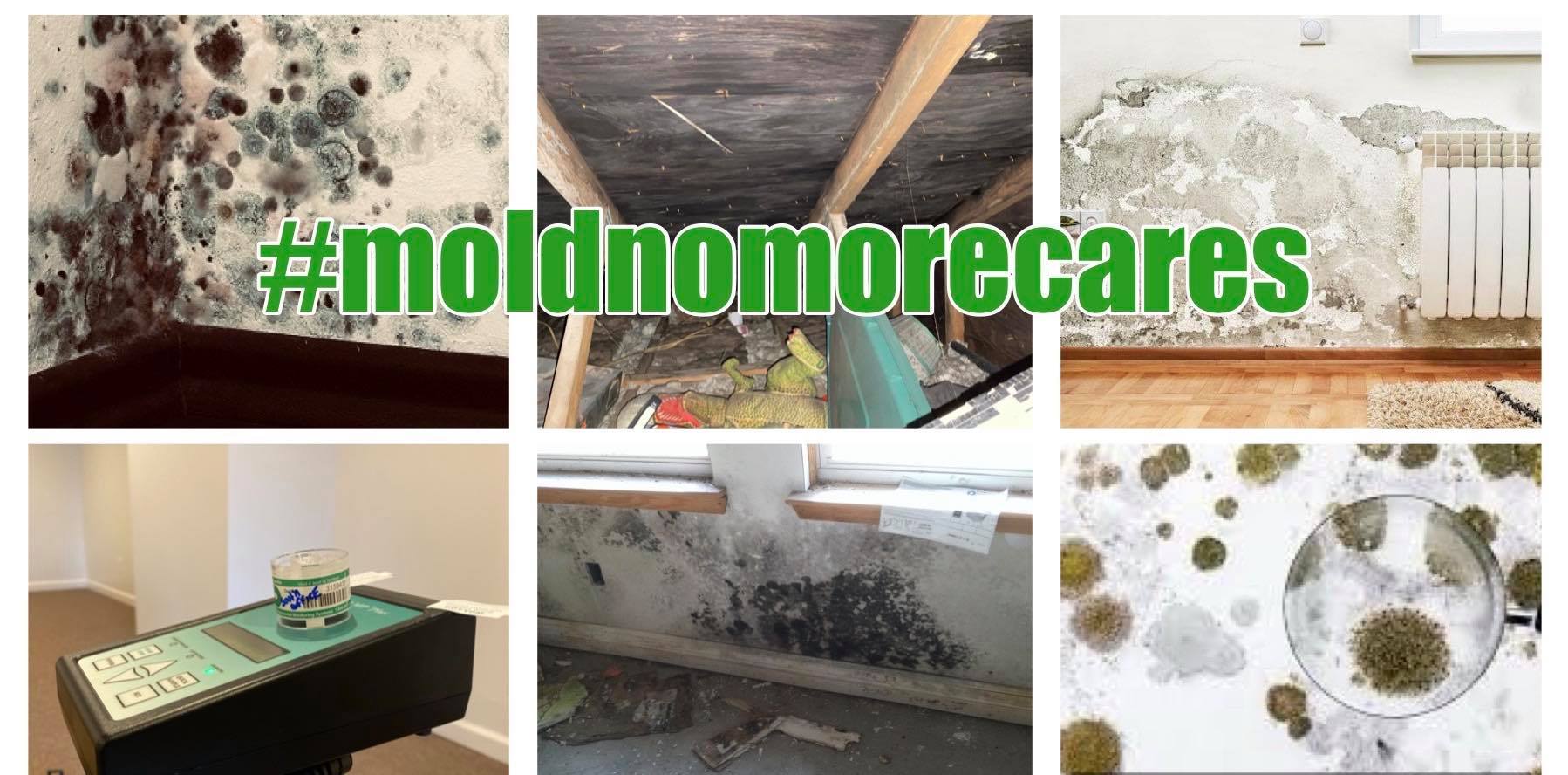 Avatar for #moldnomorecares